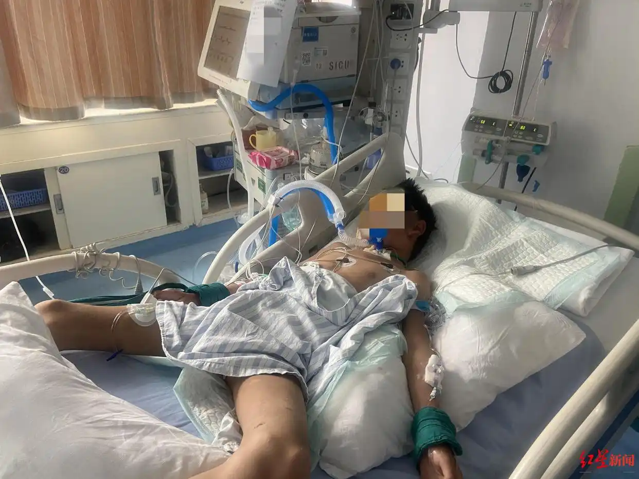 四川省人民医院虫草伤者筹款_西藏丁青县熊吃人事件系谣言_棕熊伤人事件