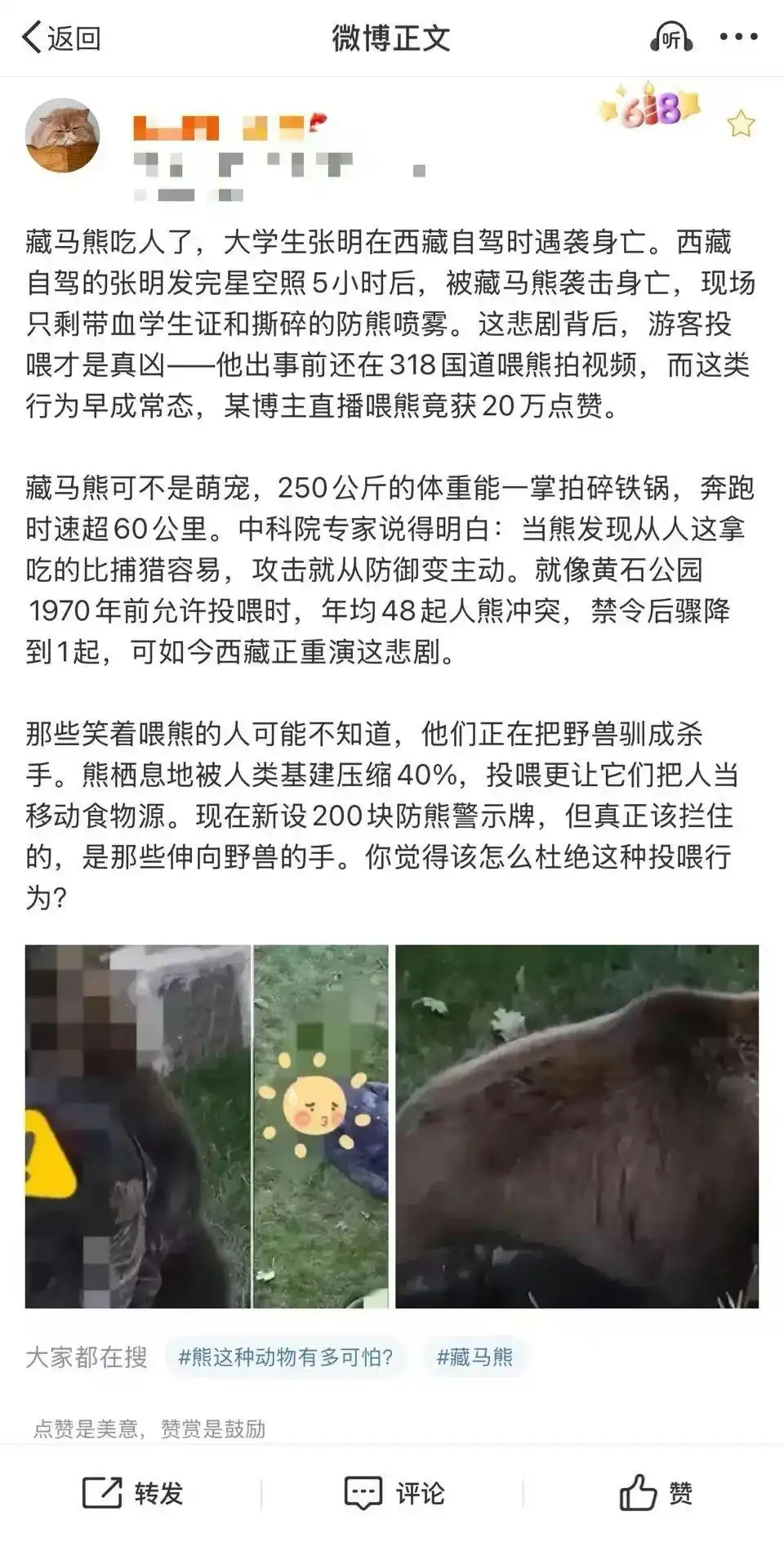 昌都市生达乡熊伤人事件_西藏藏马熊袭击事件_西藏丁青县熊吃人事件系谣言
