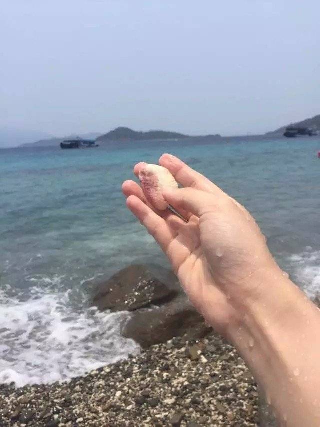 越南旅行签证交通住宿美食体验分享_越南岘港芽庄自由行攻略_到越南芽庄哪里定机票便宜