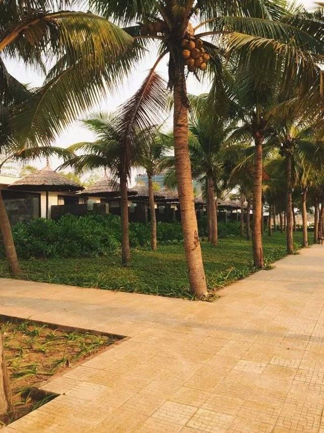 越南岘港芽庄自由行攻略_到越南芽庄哪里定机票便宜_越南旅行签证交通住宿美食体验分享
