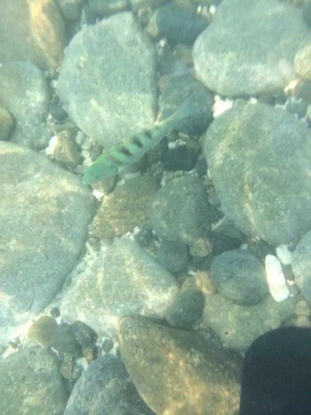 到越南芽庄哪里定机票便宜_越南旅行签证交通住宿美食体验分享_越南岘港芽庄自由行攻略