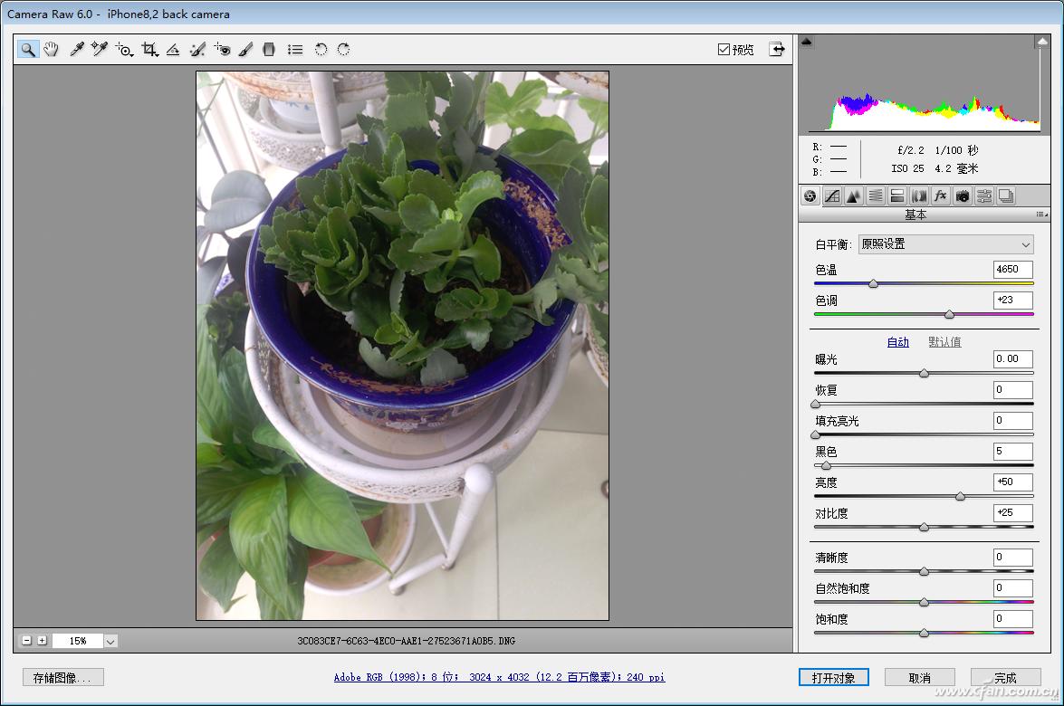 Photoshop RAW图像处理_raw软件下载_RAW图像编辑软件