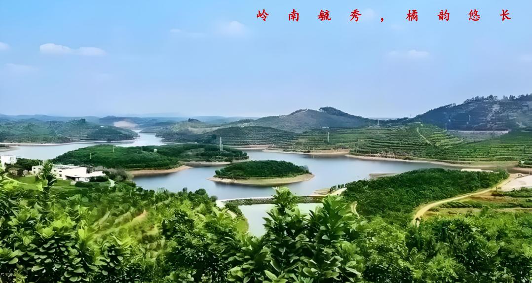 孕妇能不能吃橘红干?_中老年化橘红品牌测评 鹤葆元化橘红安全性 柚皮苷含量适中的化橘红