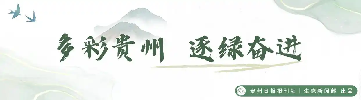 生态文明论坛_生态文明贵阳国际论坛_高质量推进自然保护地体系建设