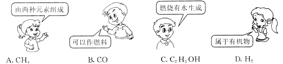 梵高艺术生涯 巴黎艺术转折 梵高作品情感表达_梵高画过黄色杏花吗