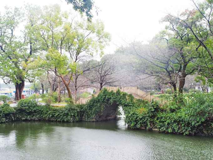 涵万轩长春桥太湖风光_鼋头渚导游词_太湖鼋头渚最佳赏樱地点