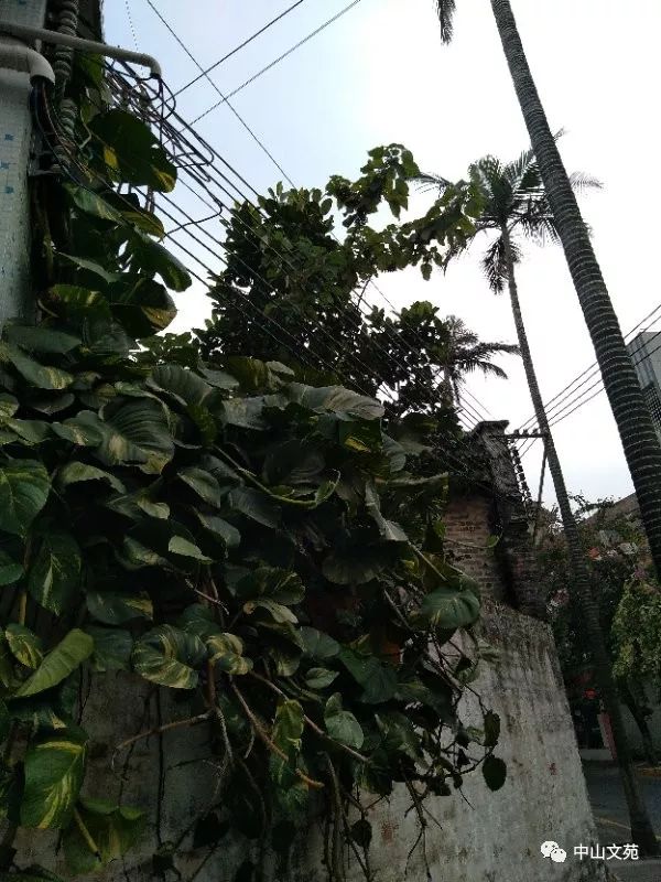 中山建霞楼_中山老街诗社_建霞楼诗集