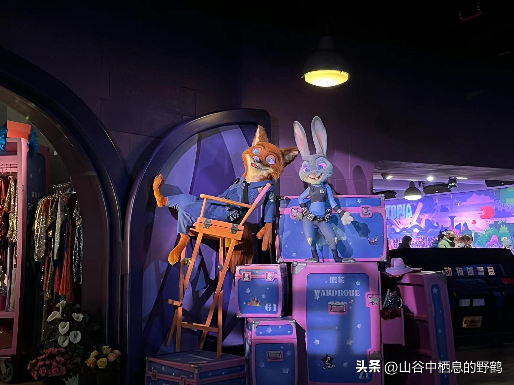 迪士尼乐园上海攻略_上海迪士尼十周年奇妙之心烟花升级攻略_门票早享卡尊享卡性价比分析