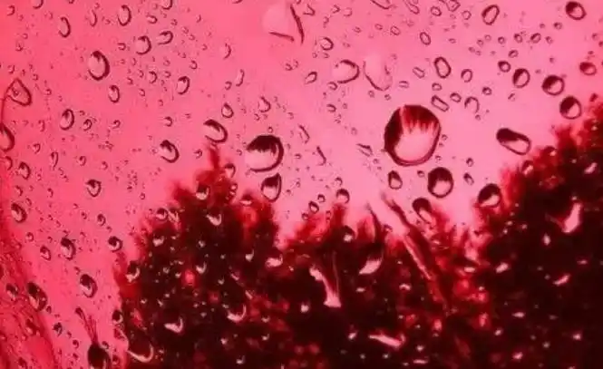 云南大学马加爵杀人案_马加爵之锤药家鑫之刃_马加爵杀人动机