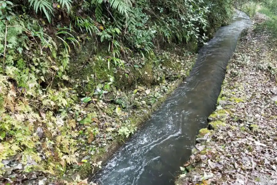 马加爵之锤药家鑫之刃_云南大学马加爵杀人案_马加爵杀人动机