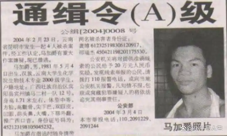马加爵杀人动机深度解析_马加爵案件详细分析_马加爵之锤药家鑫之刃