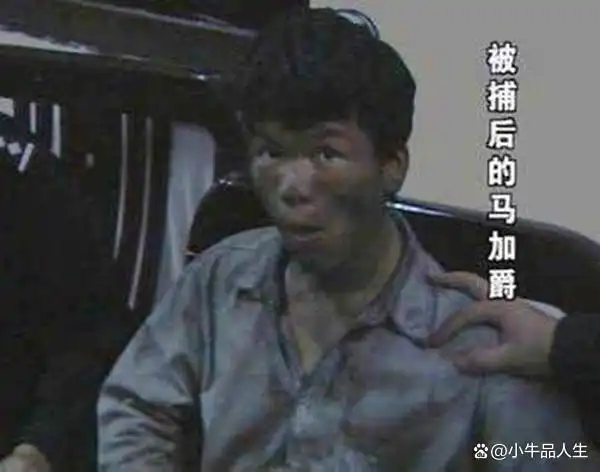 马加爵案件详细分析_马加爵杀人动机深度解析_马加爵之锤药家鑫之刃