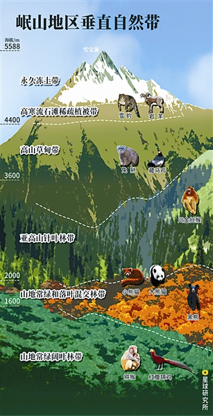 大熊猫国家公园体制试点_大熊猫栖息地保护_成都大熊猫生态公园景观规划设计