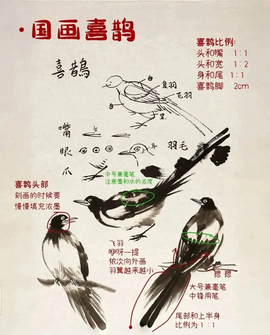 中国结图片 画法_画写意喜鹊步骤_喜鹊国画创作技法