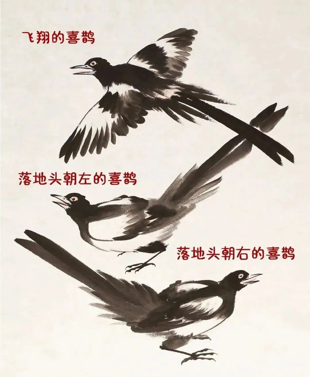 画写意喜鹊步骤_喜鹊国画创作技法_中国结图片 画法
