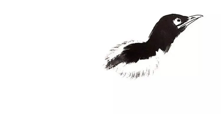 画写意喜鹊步骤_中国结图片 画法_喜鹊国画创作技法
