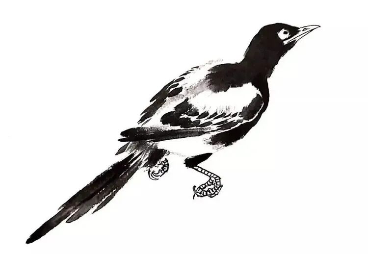 中国结图片 画法_画写意喜鹊步骤_喜鹊国画创作技法