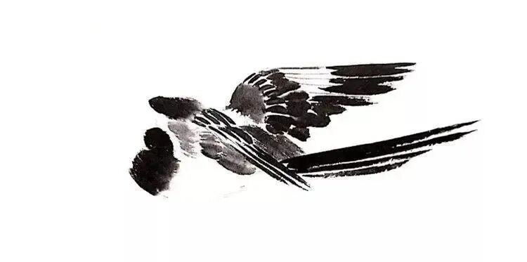 喜鹊国画创作技法_中国结图片 画法_画写意喜鹊步骤