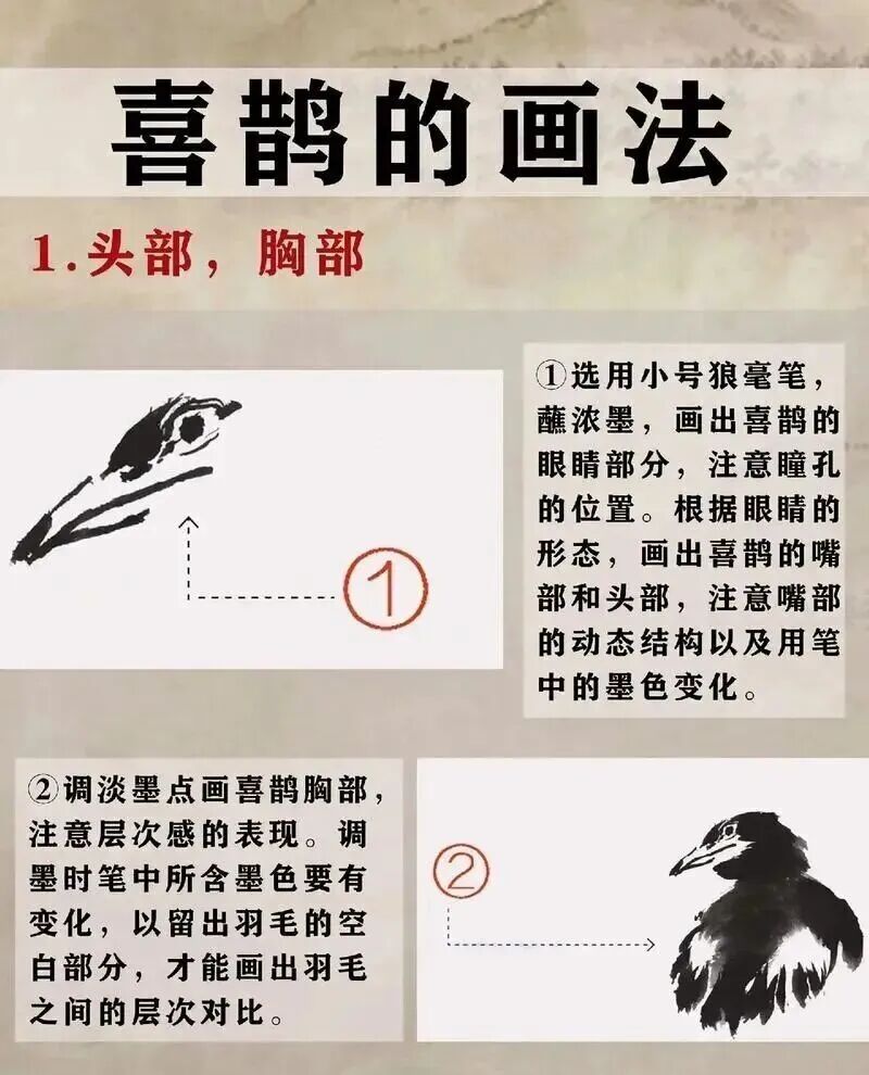 喜鹊国画创作技法_画写意喜鹊步骤_中国结图片 画法