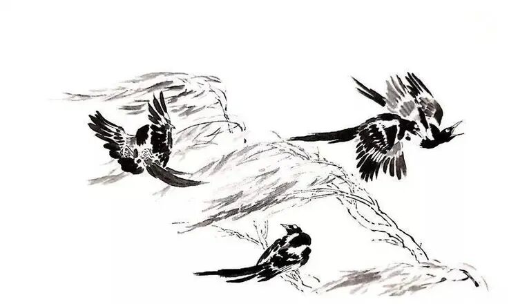 中国结图片 画法_喜鹊国画创作技法_画写意喜鹊步骤