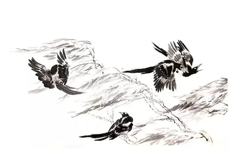 画写意喜鹊步骤_中国结图片 画法_喜鹊国画创作技法
