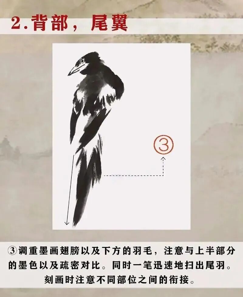 画写意喜鹊步骤_中国结图片 画法_喜鹊国画创作技法