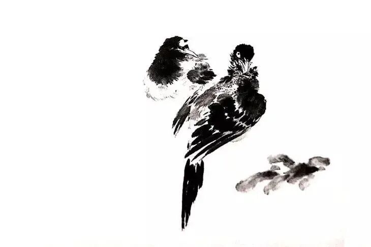 中国结图片 画法_喜鹊国画创作技法_画写意喜鹊步骤
