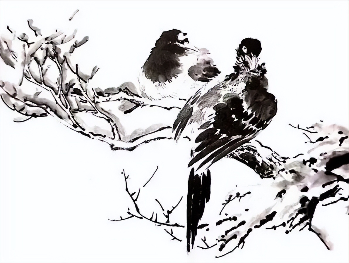 喜鹊国画创作技法_中国结图片 画法_画写意喜鹊步骤