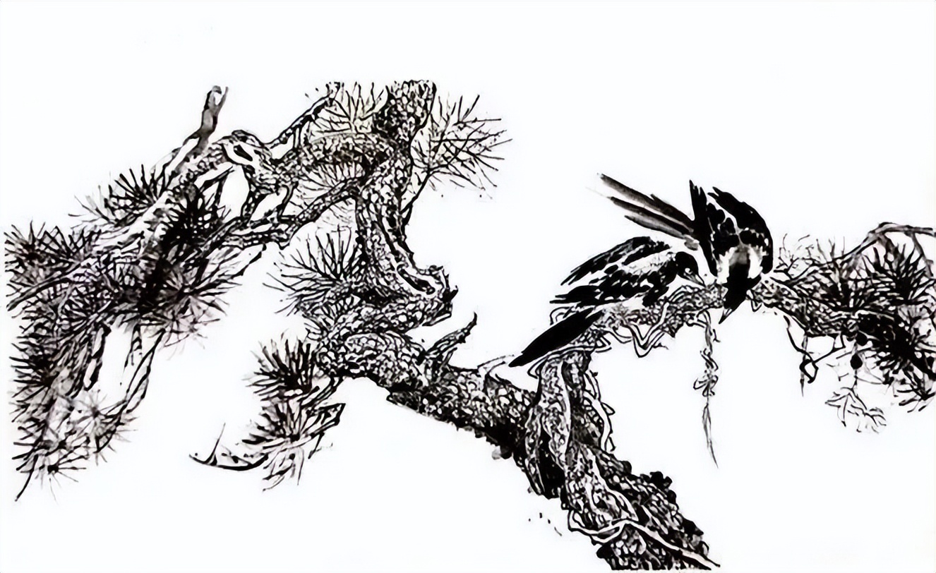 喜鹊国画创作技法_中国结图片 画法_画写意喜鹊步骤