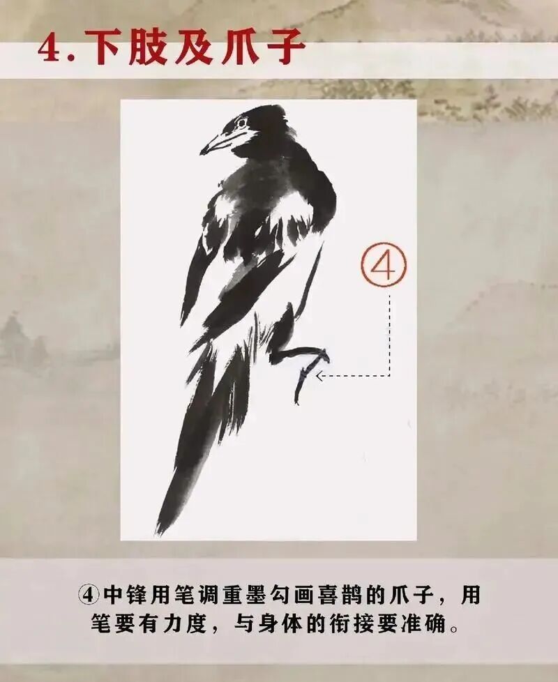 中国结图片 画法_喜鹊国画创作技法_画写意喜鹊步骤