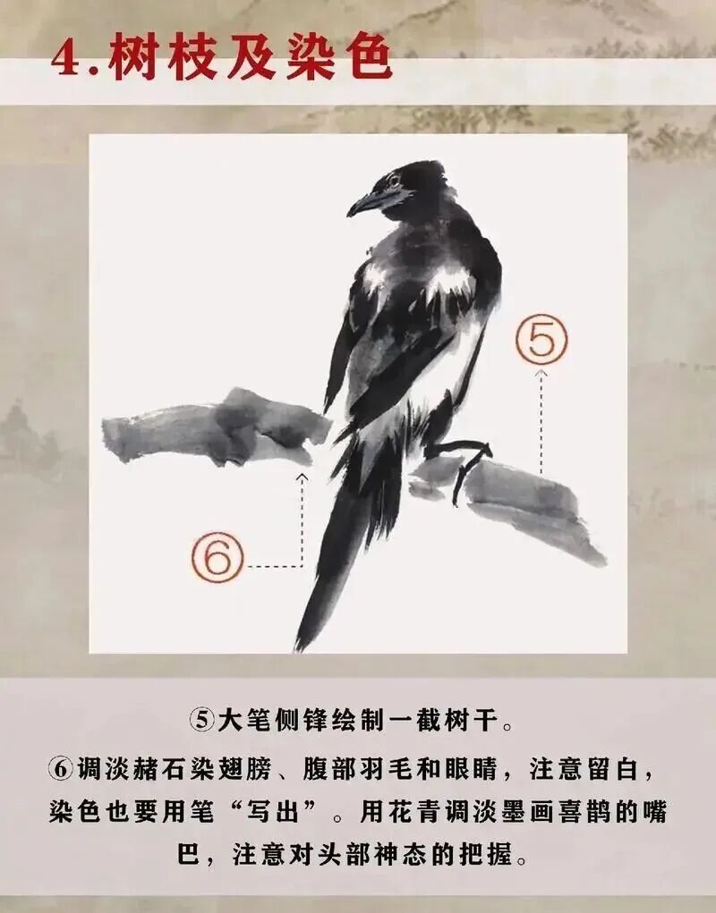 画写意喜鹊步骤_喜鹊国画创作技法_中国结图片 画法