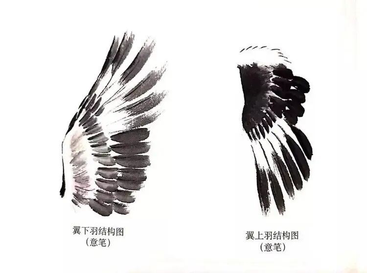 中国结图片 画法_画写意喜鹊步骤_喜鹊国画创作技法