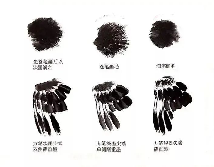 喜鹊国画创作技法_画写意喜鹊步骤_中国结图片 画法