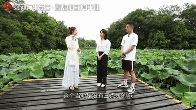 去常州嬉戏谷的旅游团_常州春秋淹城旅游区_淹城三城三河遗址