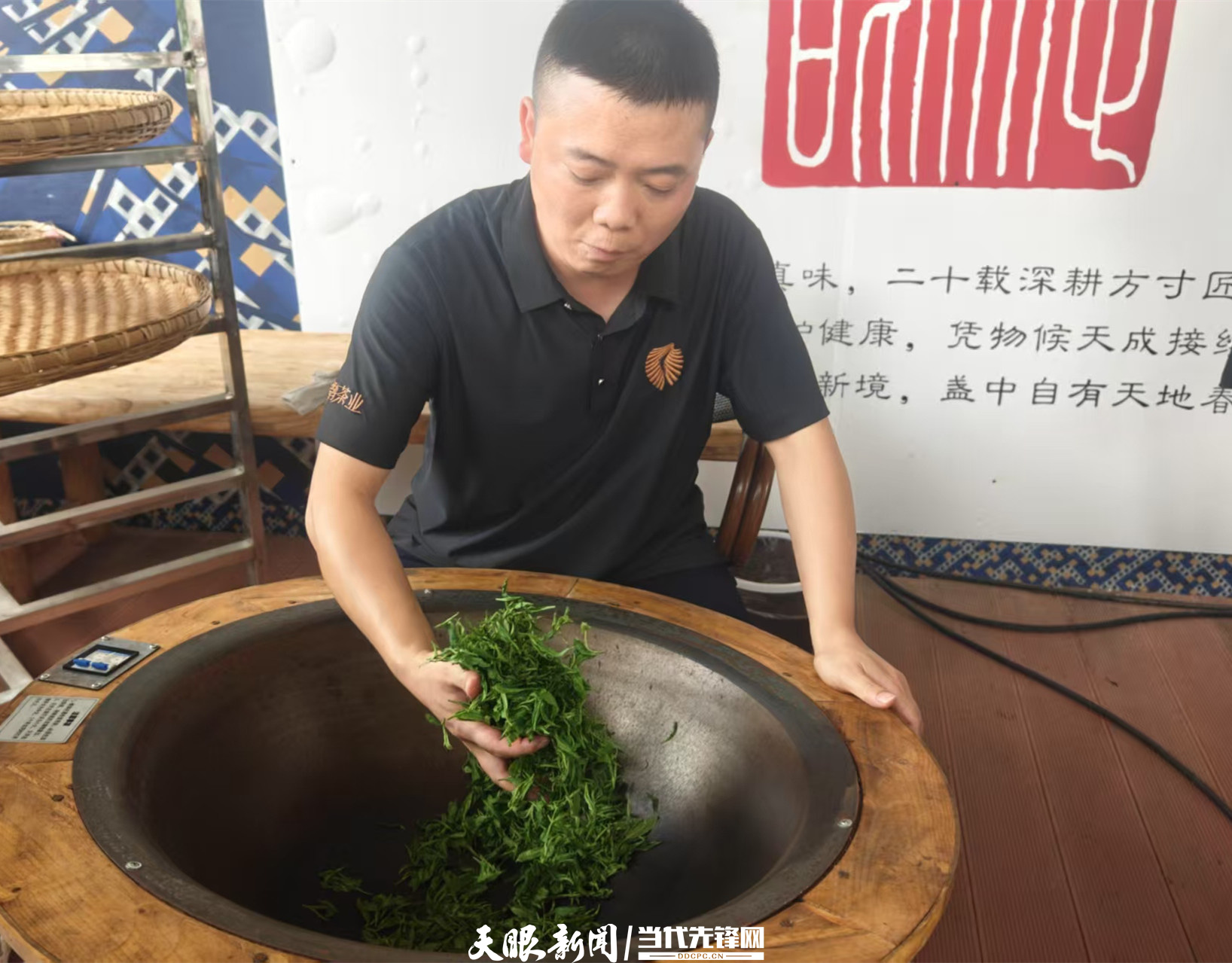 贵阳市生态文明建设经验交流_贵阳市生态文明建设委员会_贵州柏春神鹊茶场生态种茶