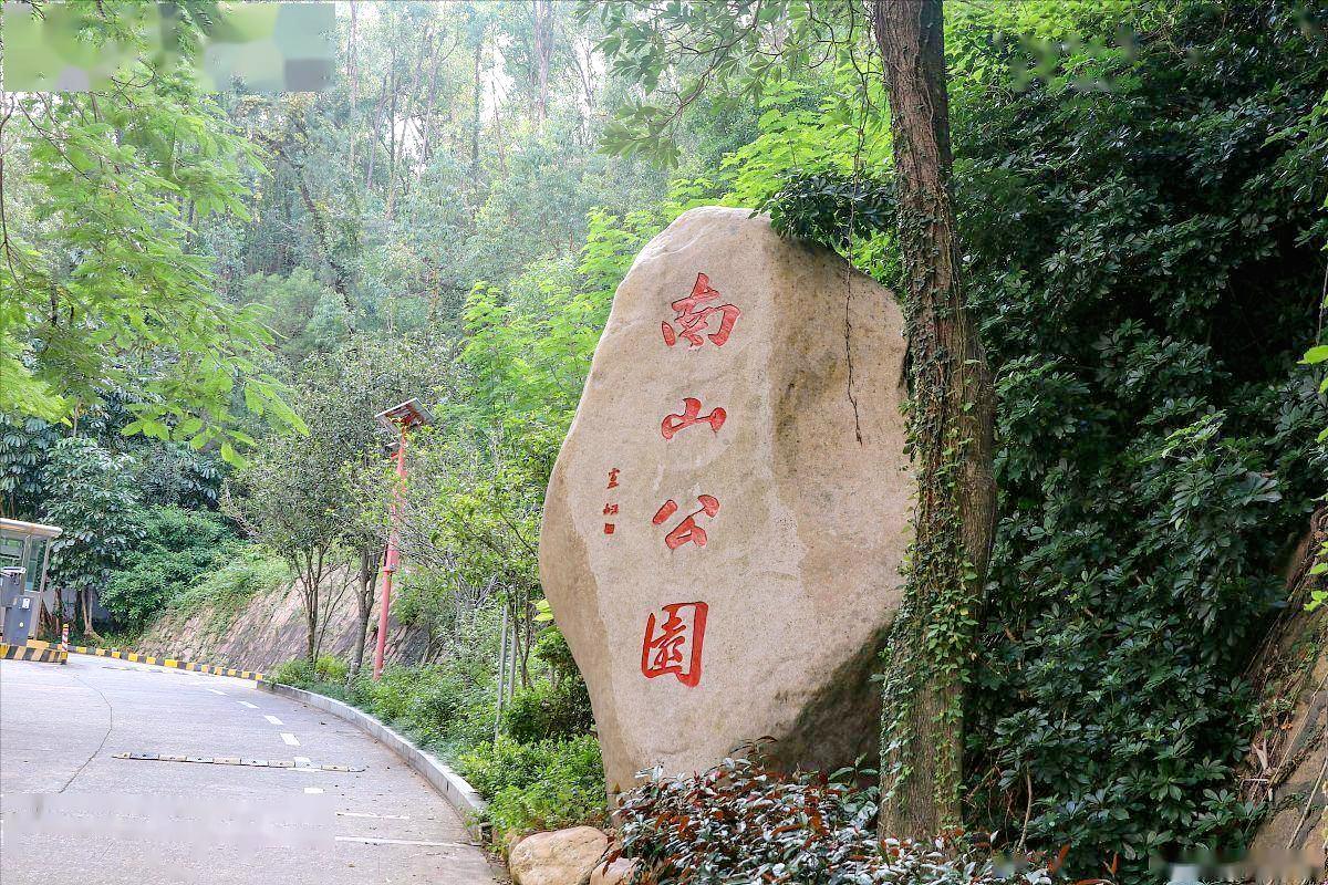秦怡与陈天国婚姻经历_秦怡被陈天国骗婚经历_陈天国的妻子