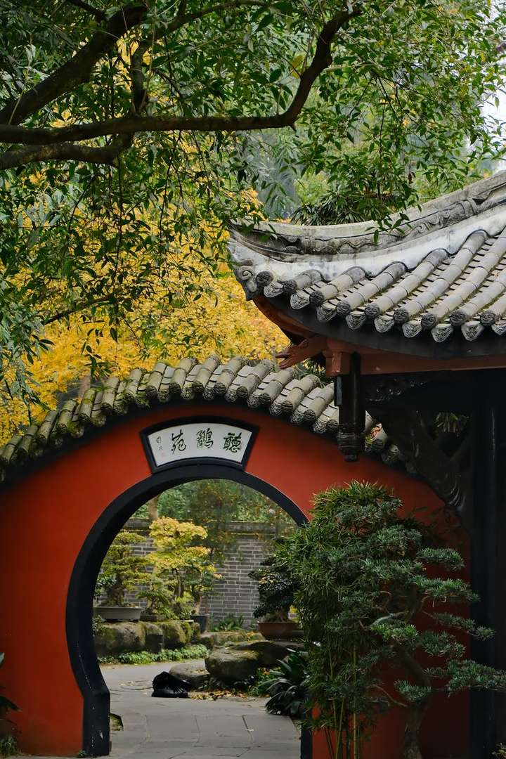 中国艺术源代码_老子美学_中国美学史张法