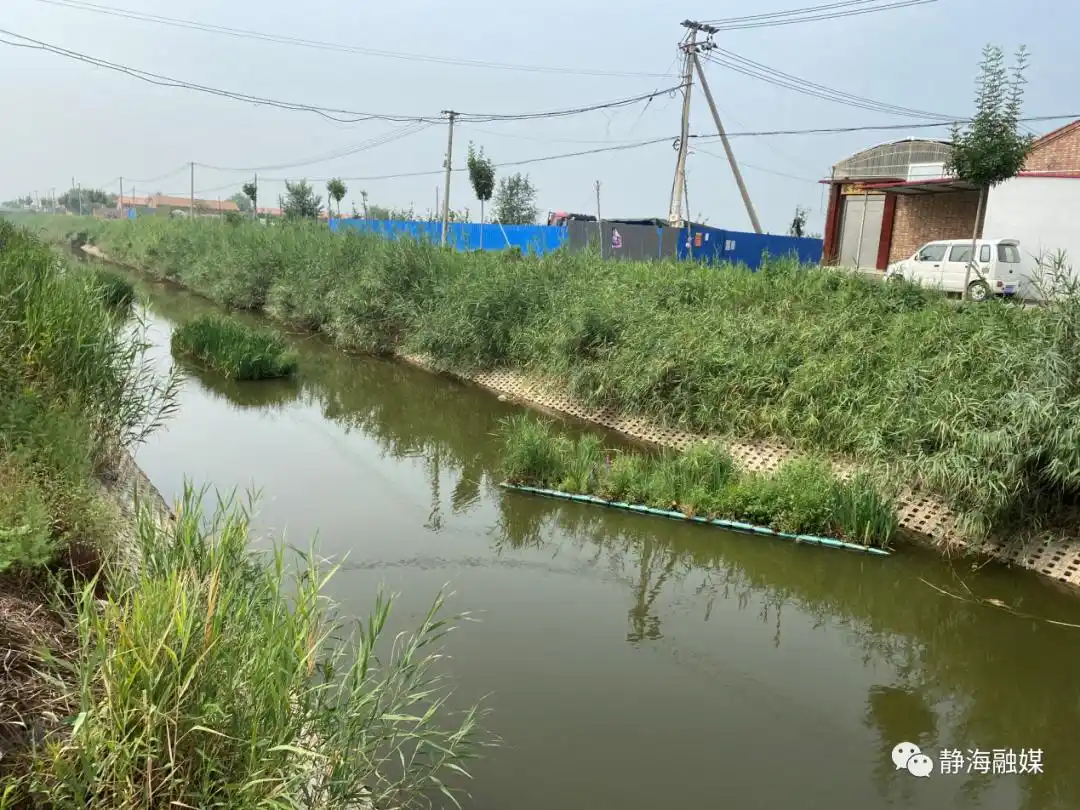 静海区浮萍打捞队伍_静海区河道生态修复_河道生态治理 微生境