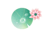 静海区河道生态修复_河道生态治理 微生境_静海区浮萍打捞队伍