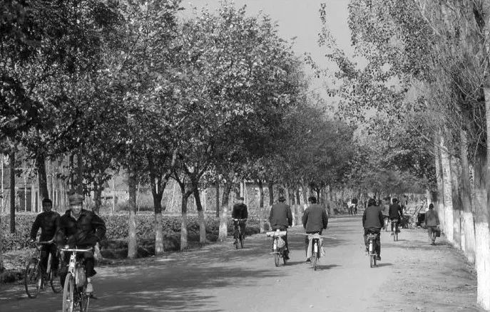 中国改革开放30年文化发展史_通讯方式变迁_80年代生人生活变化