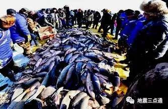 乌苏里江赫哲族文化_乌苏里江旅游攻略_乌苏里江以东生态