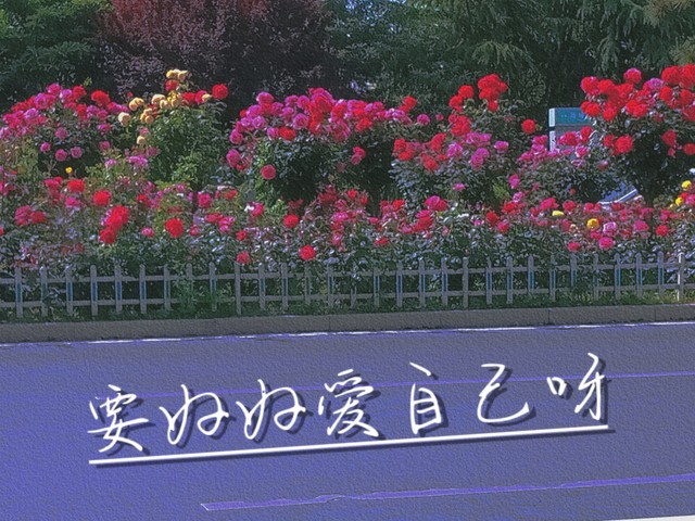 爱对了爱情爱错了爱情_辨别感情中的回应与在乎_先爱自己才能带来幸福