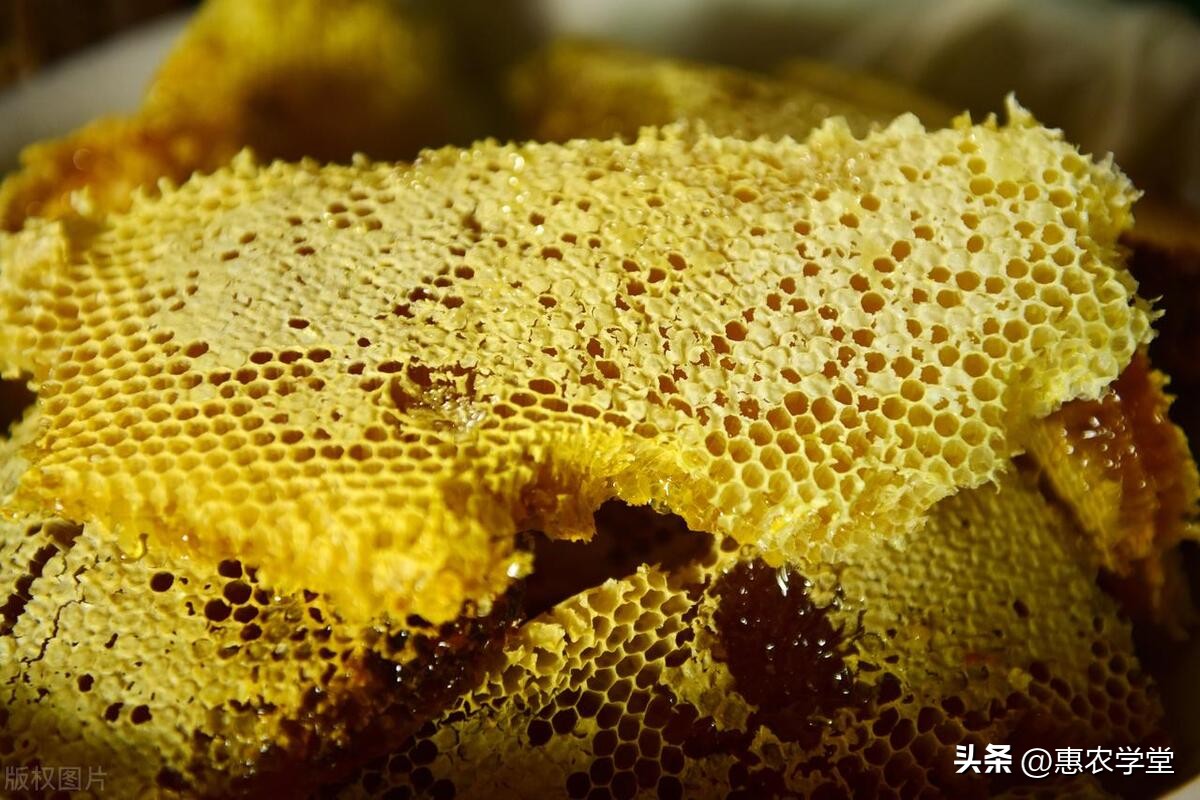 蜂蜜真假鉴别方法_有结晶的蜂蜜是真的吗_蜂蜜价格多少钱一斤
