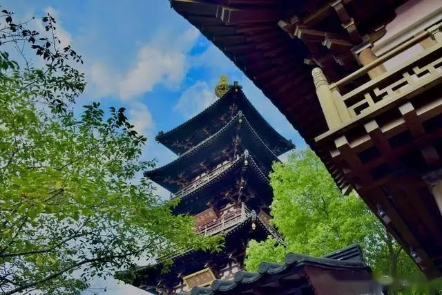 周庄古镇水乡特色_苏州东沙湖生态公园_苏州园林代表作品