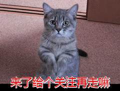 狗狗寄生虫症状_狗狗血液寄寄生虫多久能好_狗狗挠痒寄生虫