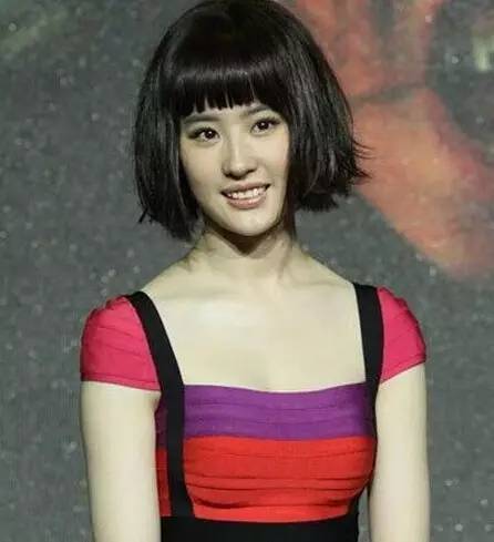 短发发型变化_鲁豫短发造型_鲁豫的发型