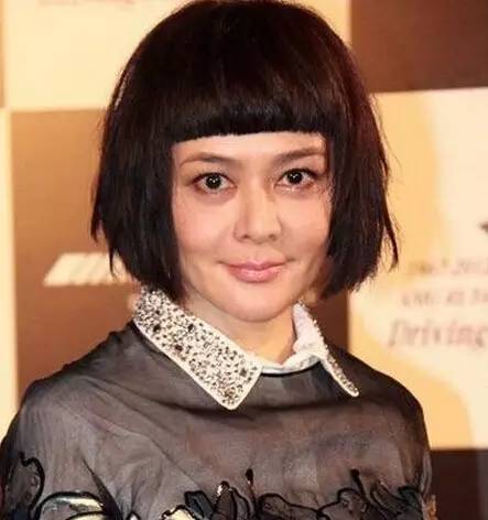 鲁豫短发造型_鲁豫的发型_短发发型变化