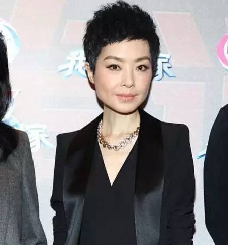 鲁豫的发型_鲁豫短发造型_短发发型变化