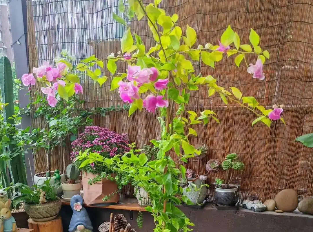 国庆节短信祝福语_双节同庆祝福佳句_中秋国庆祝福语