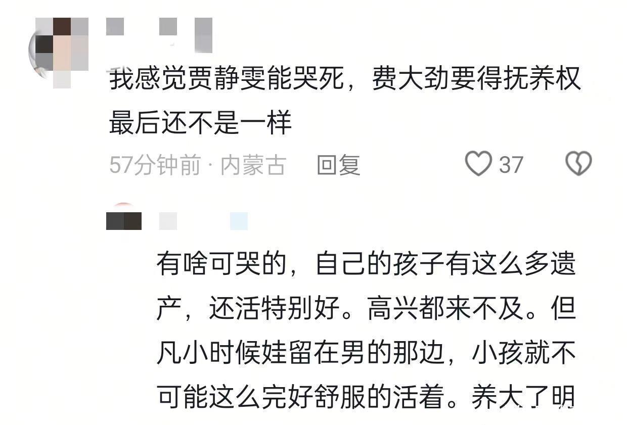 贾静雯与孙志浩婚姻纠纷_贾静雯孙志浩怀孕事件_贾静雯 大女儿